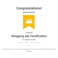 Google Shopping Ads Certification