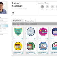 Virtual Assistant Badges
