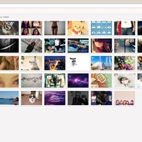 Worked as a image moderator