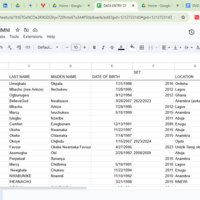 DATA ENTRY WITH GOOGLE SHEET