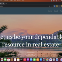 Portfolio Thumbnail 1