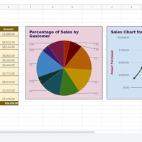 Presenting Sales Report