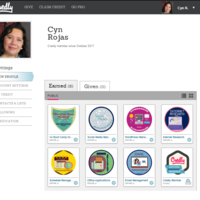 Badges
