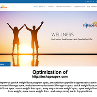 Optimization of Inshape Medica