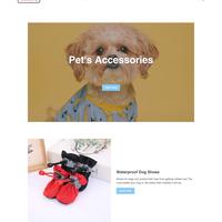 Shopify Store Development