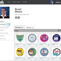 The Credly Badges I Earned
