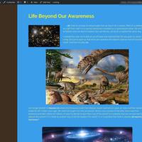 Portfolio Thumbnail 5