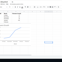 Instagram Analytics Report