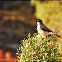 Portfolio Thumbnail 6