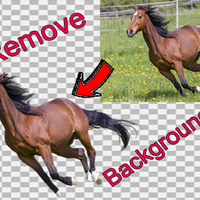 Portfolio Thumbnail 0