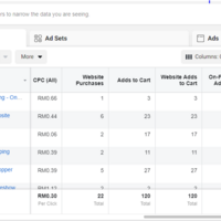 My Facebook Ad Campaigns 3 Sample