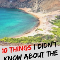 Portfolio Thumbnail 3