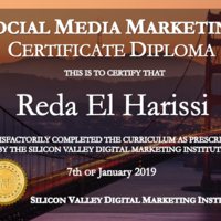 Certificate in Social Media Marketing