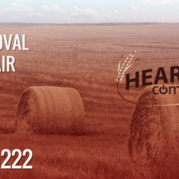 Portfolio Thumbnail 21