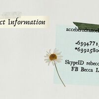 Portfolio Thumbnail 11