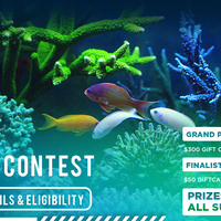 Reef Video Contest Website Banner