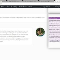 WordPress Testi2
