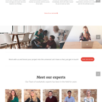 Arany Palinka web design v1