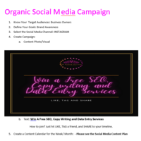 Creating Organic Social Media Campaigh 
