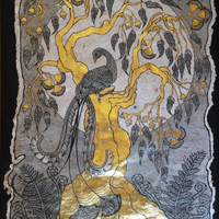 Lyre Bird -Hand Drawn