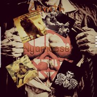 Portfolio Thumbnail 13