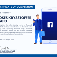 Facebook Ads Management 