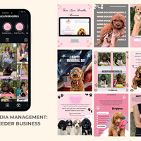 Instagram Social Media Management