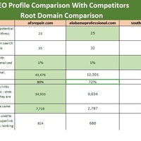 Competitor Analysis Sample