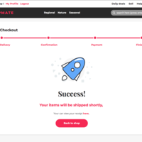 Checkout process 4