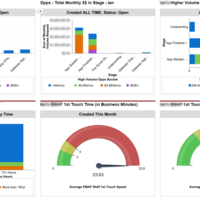 Custom Salesforce dashboard