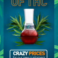 Portfolio Thumbnail 11