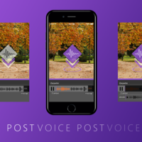 Portfolio Thumbnail 11