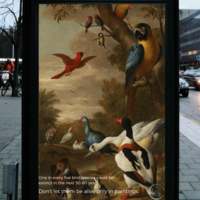 Extinct Birds Banner
