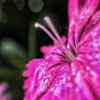 Portfolio Thumbnail 14