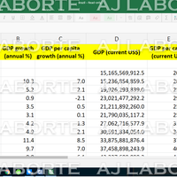 Data Entry PDF to Excel