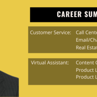 Career Summary