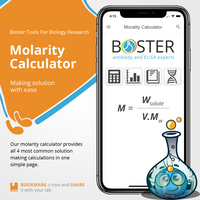 Social Media Post Morality Calculator