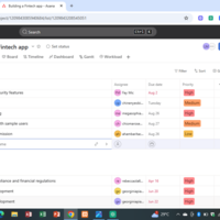 Project Tracking using Asana