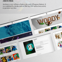 Shopify website development