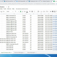Texas Automotive Dealers_Lead Generation