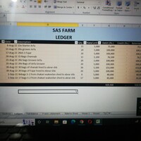 Ledgers on excel
