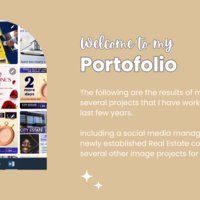 Portfolio Thumbnail 2