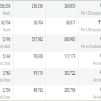 FB Ads Insight