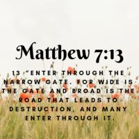 Graphic Designs using Canva