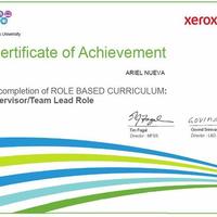 Supervisory/Team Lead Role