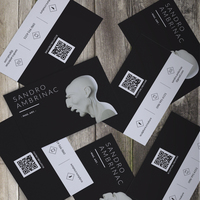 Artist Sandro Ambrinac Business Card