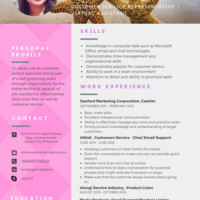 Resume Sample
