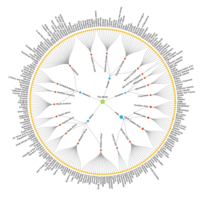 Portfolio Thumbnail 15