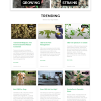Logo & full website design