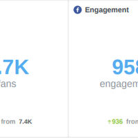 Heal Your Gut Guy (SMM 2)